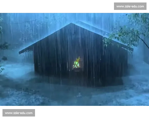 在三分雨下聆听城市心跳与人间温度的缓慢回声叙事长夜与光影流动